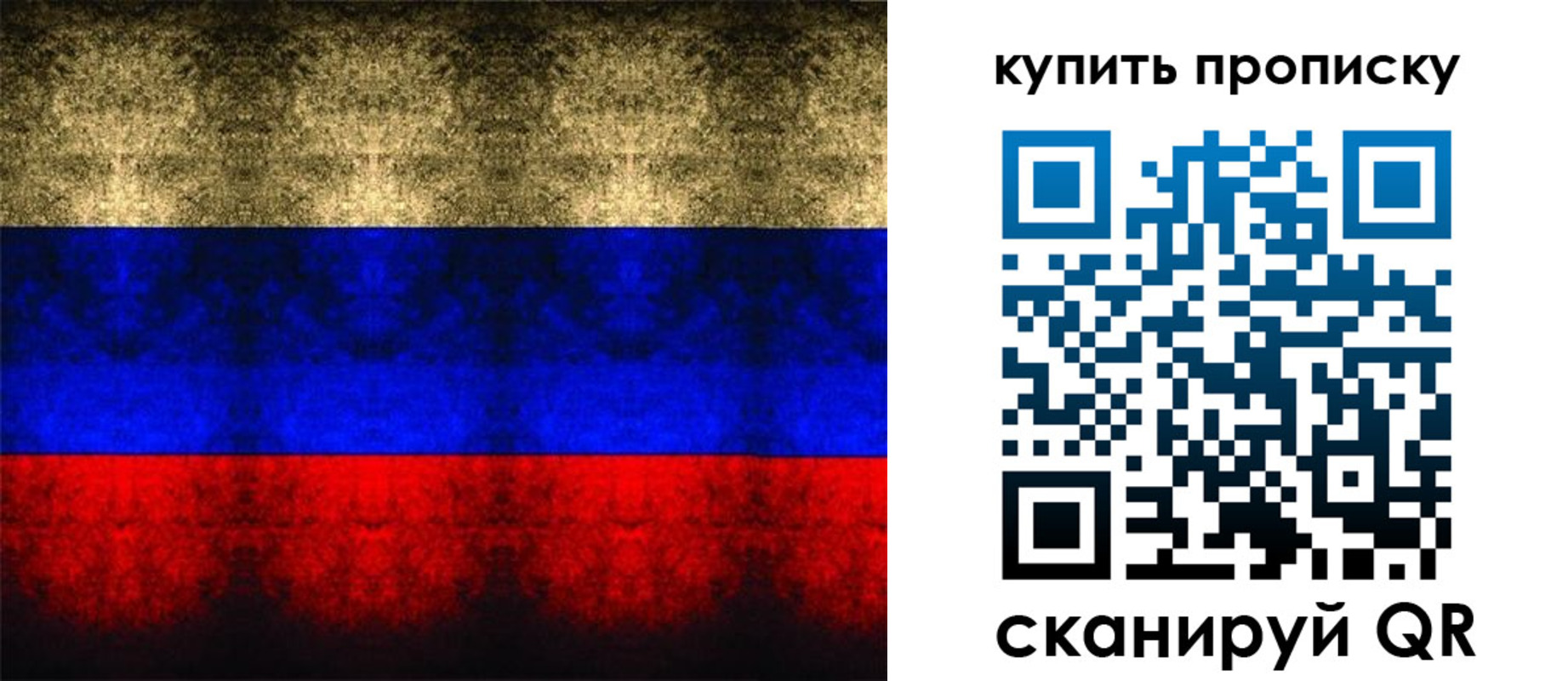 прописка в Северске